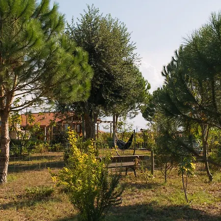 Chalet Chale Dos Sobreiros *